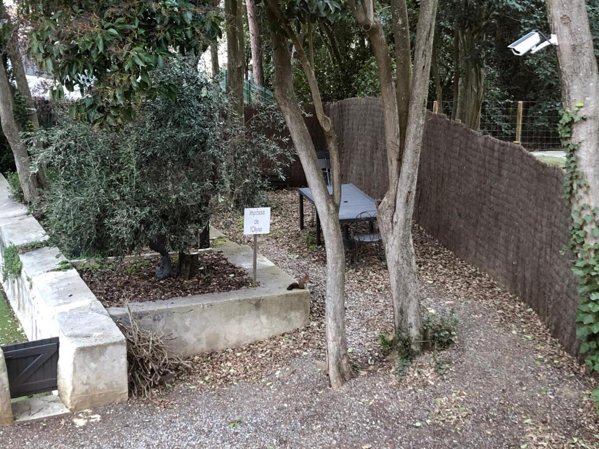 Au Vieux Lavoir Carcassonne Extérieur photo