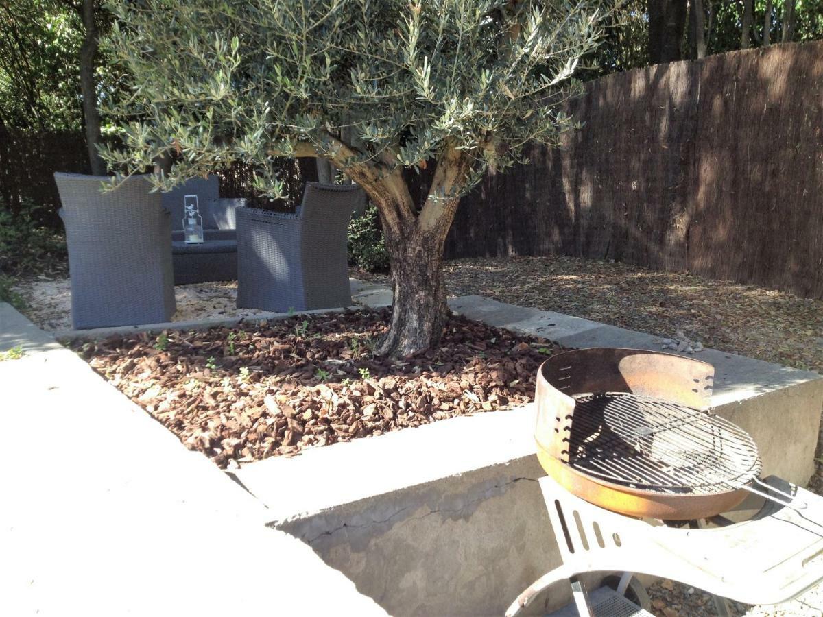 Au Vieux Lavoir Carcassonne Extérieur photo