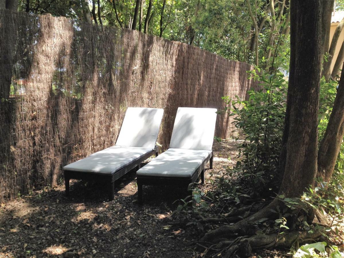 Au Vieux Lavoir Carcassonne Extérieur photo